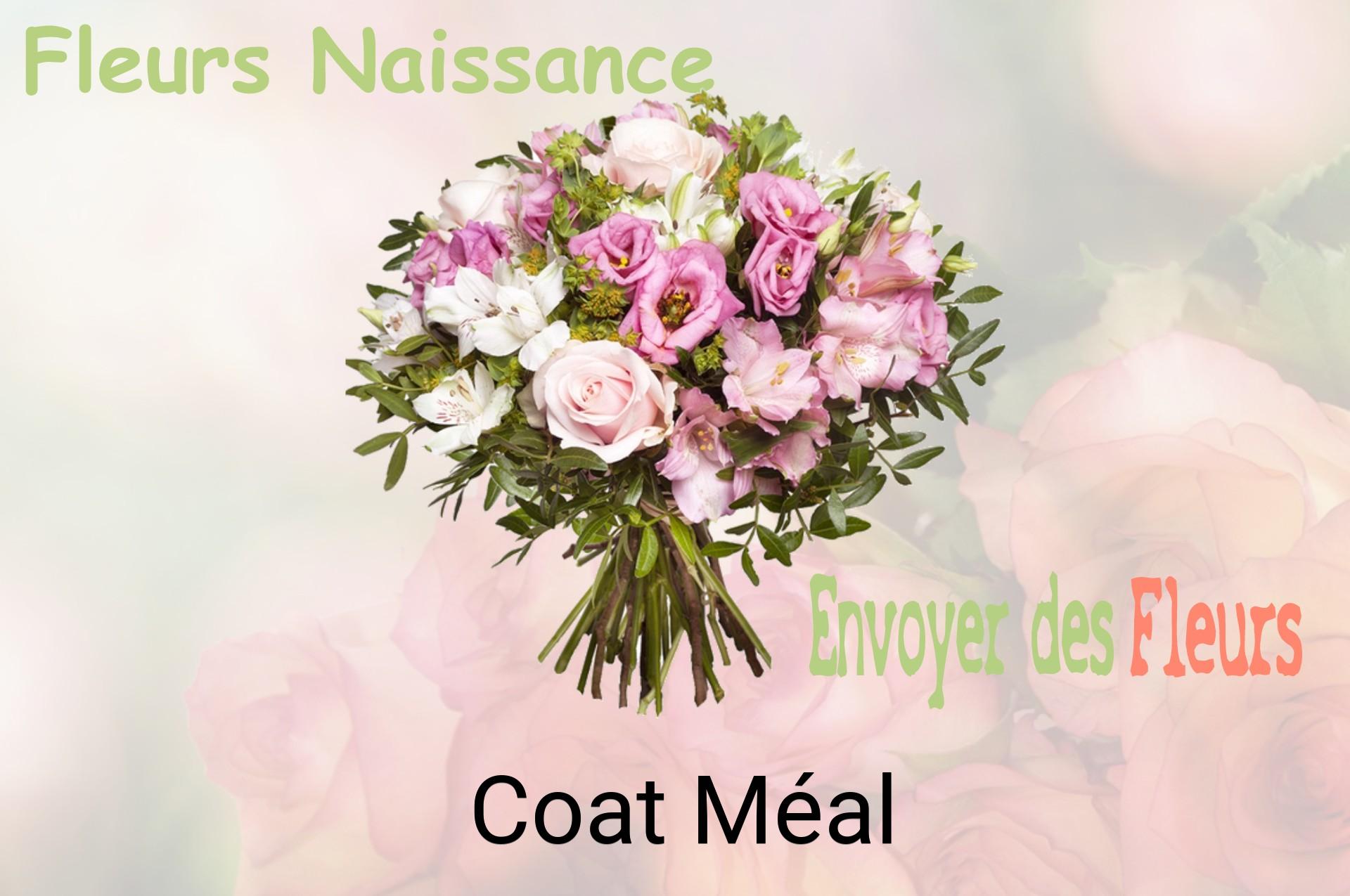 Bouquet de fleurs de naissance livré à Coat-Méal